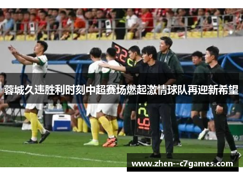 蓉城久违胜利时刻中超赛场燃起激情球队再迎新希望 蓉城久违胜利时刻中超赛场燃起激情球队再迎新希望