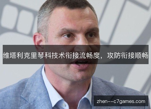 维塔利克里琴科技术衔接流畅度，攻防衔接顺畅